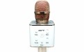 Микрофон Орбита OT-ERM04  Розовый (Bluetooth. динамики, USB)